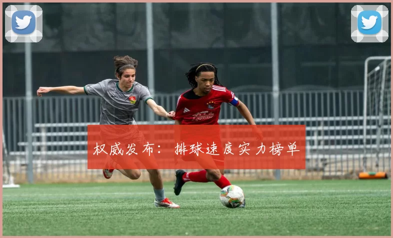 权威发布：排球速度实力榜单