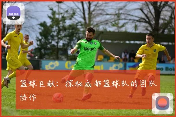 篮球巨献：探秘成都篮球队的团队协作