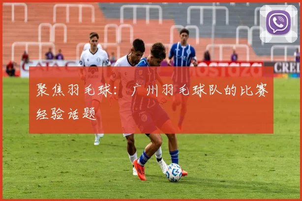 聚焦羽毛球：广州羽毛球队的比赛经验话题